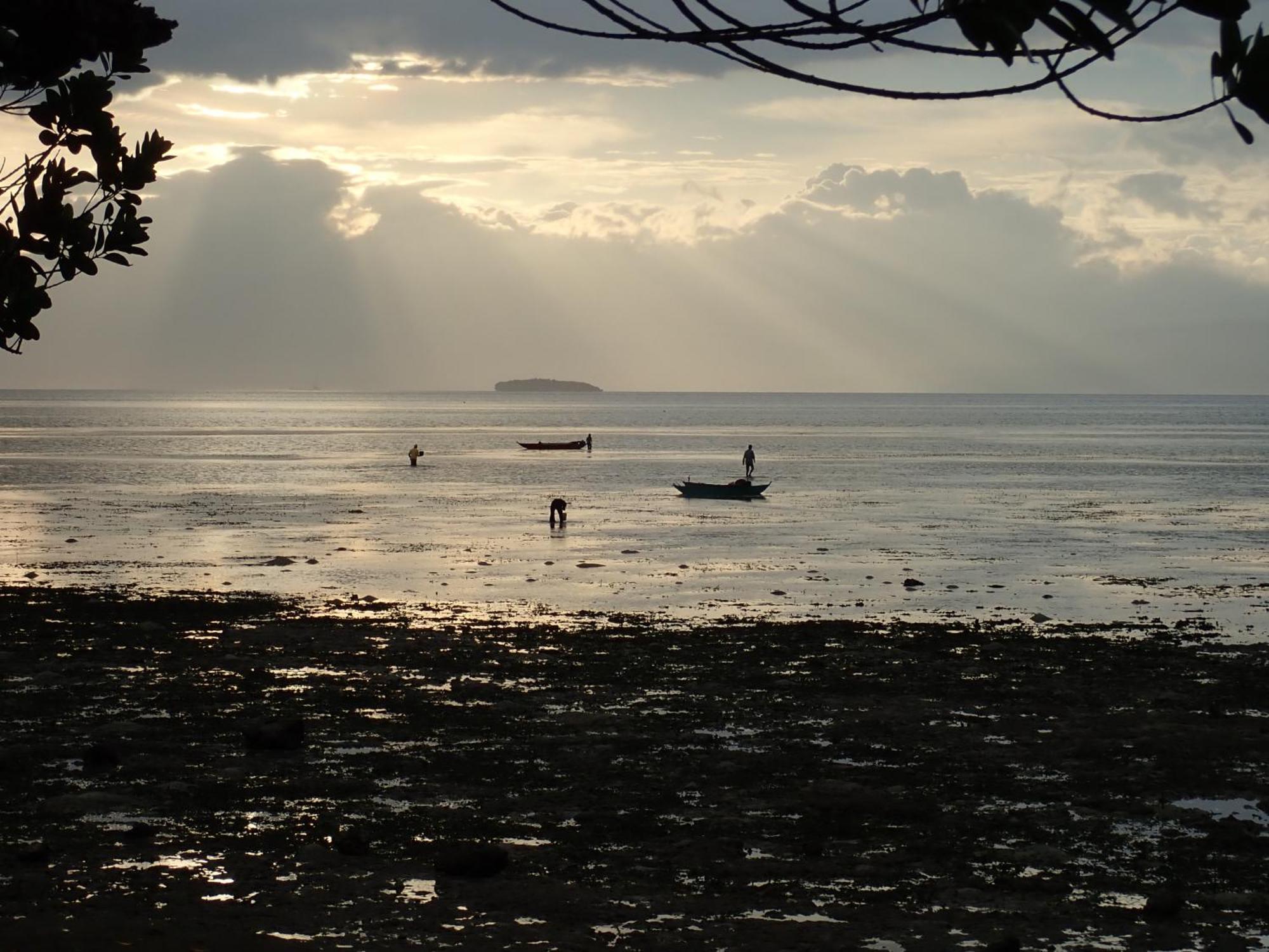 Eskapo Verde Lodge Moalboal Badian Exteriör bild