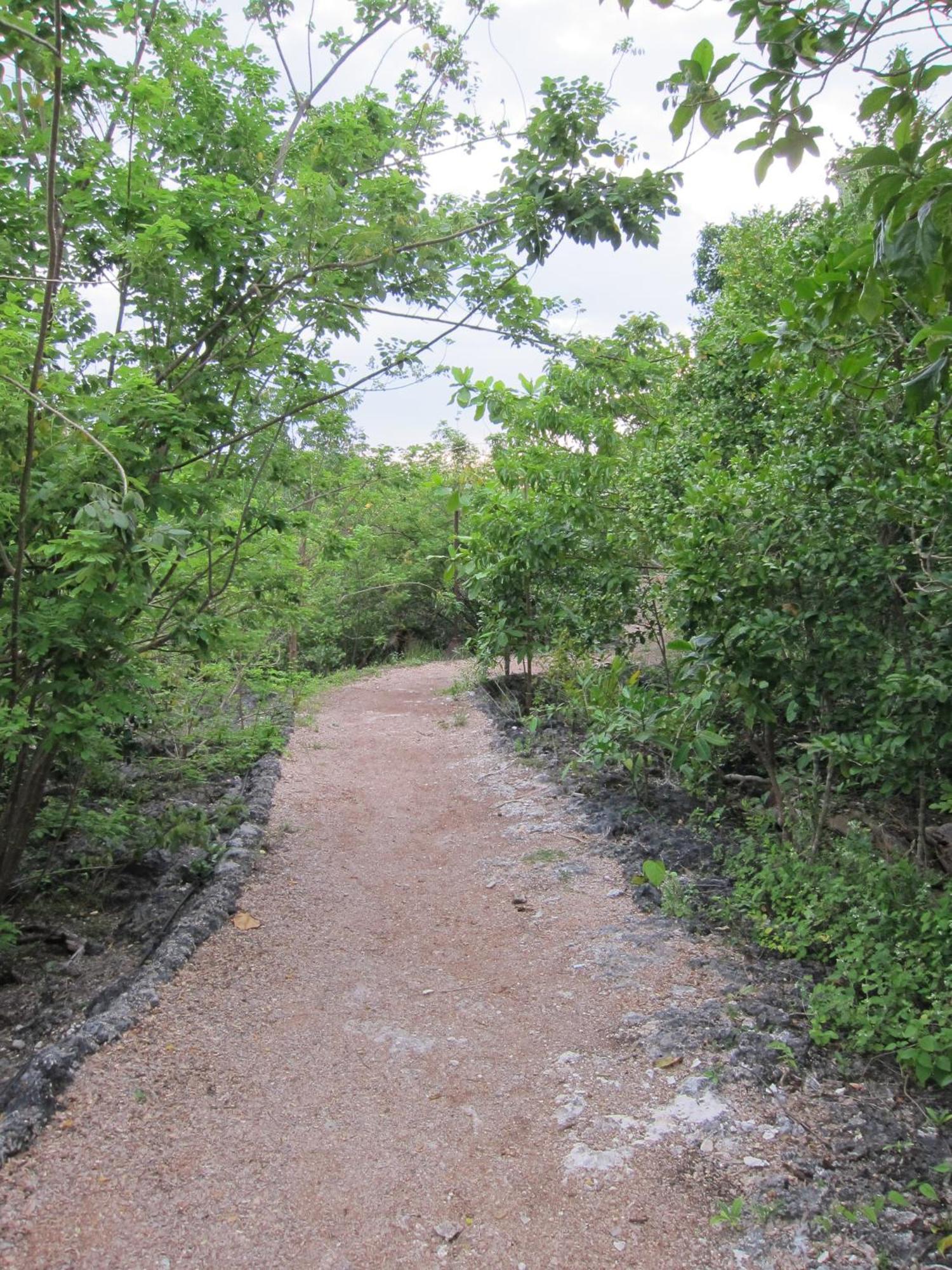 Eskapo Verde Lodge Moalboal Badian Exteriör bild